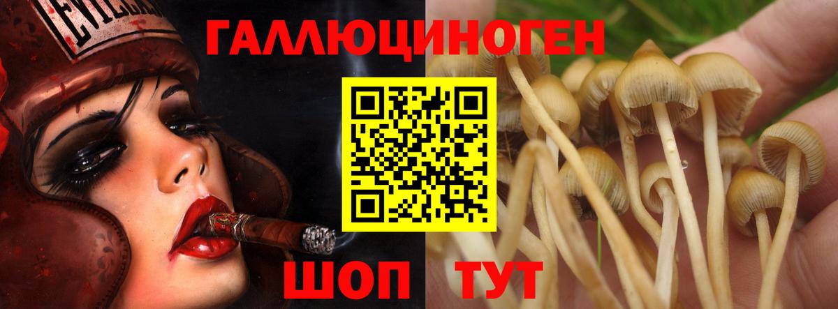 Верхняя Салда  продажа наркотиков  Вход с VPN  Псилоцибиновые грибы прущие грибы 